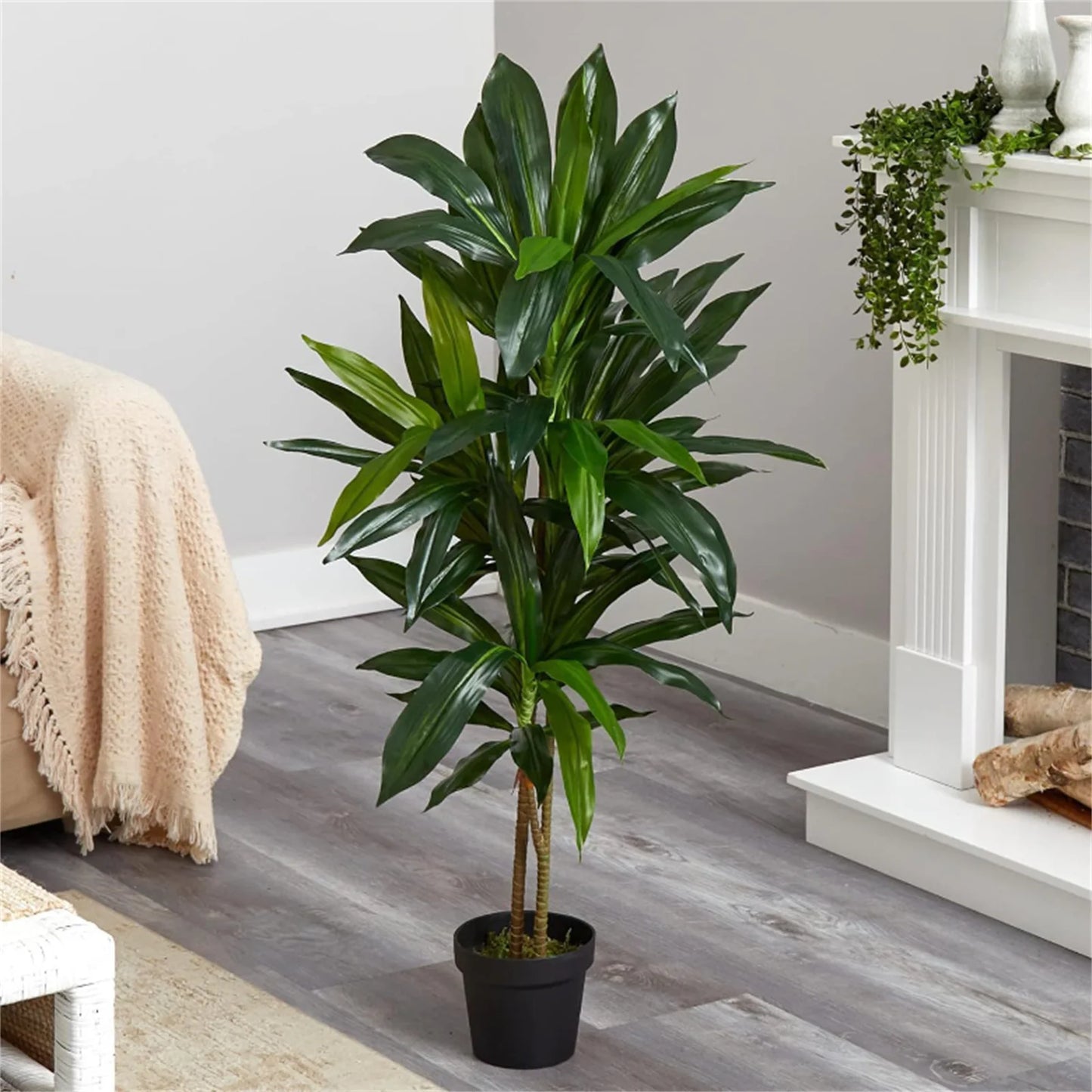 Artificial Dracaena Indoor Plant in Pot With Adjustable Branches