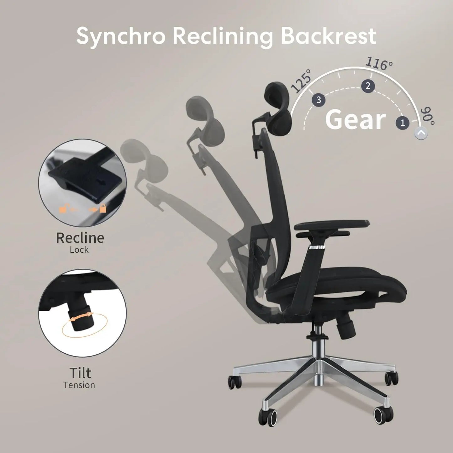 Ergonomics Premium Workstation Chair With Adjustable Lumbar Support And Rotatable